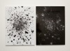 debris site #5 (remains of a school, West Philadelphia), Brent Wahl, 2012