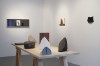 Corey Antis, Natural History acrylic, chalk, stain, wood, dimensions variable, 2012